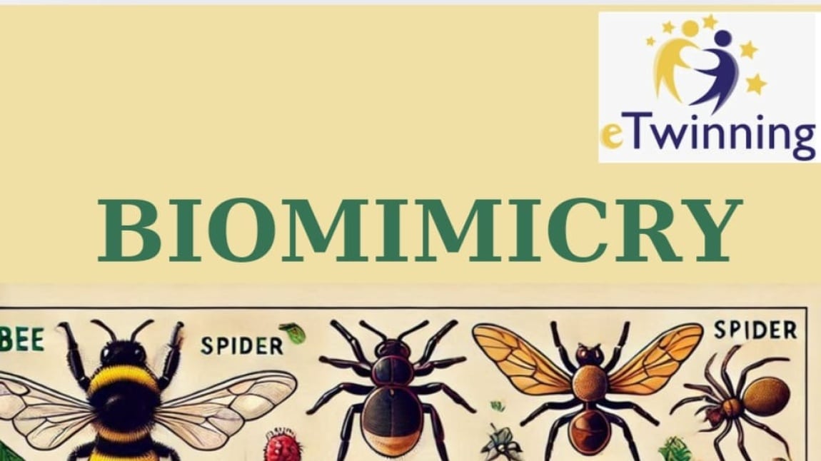 BIOMIMICRY eTwinning Projesi